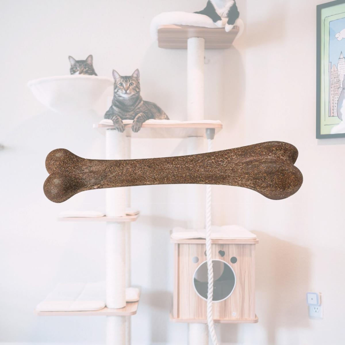 Picture of Ethical Products EP54317 5.75 in. Bambone Bone Bacon