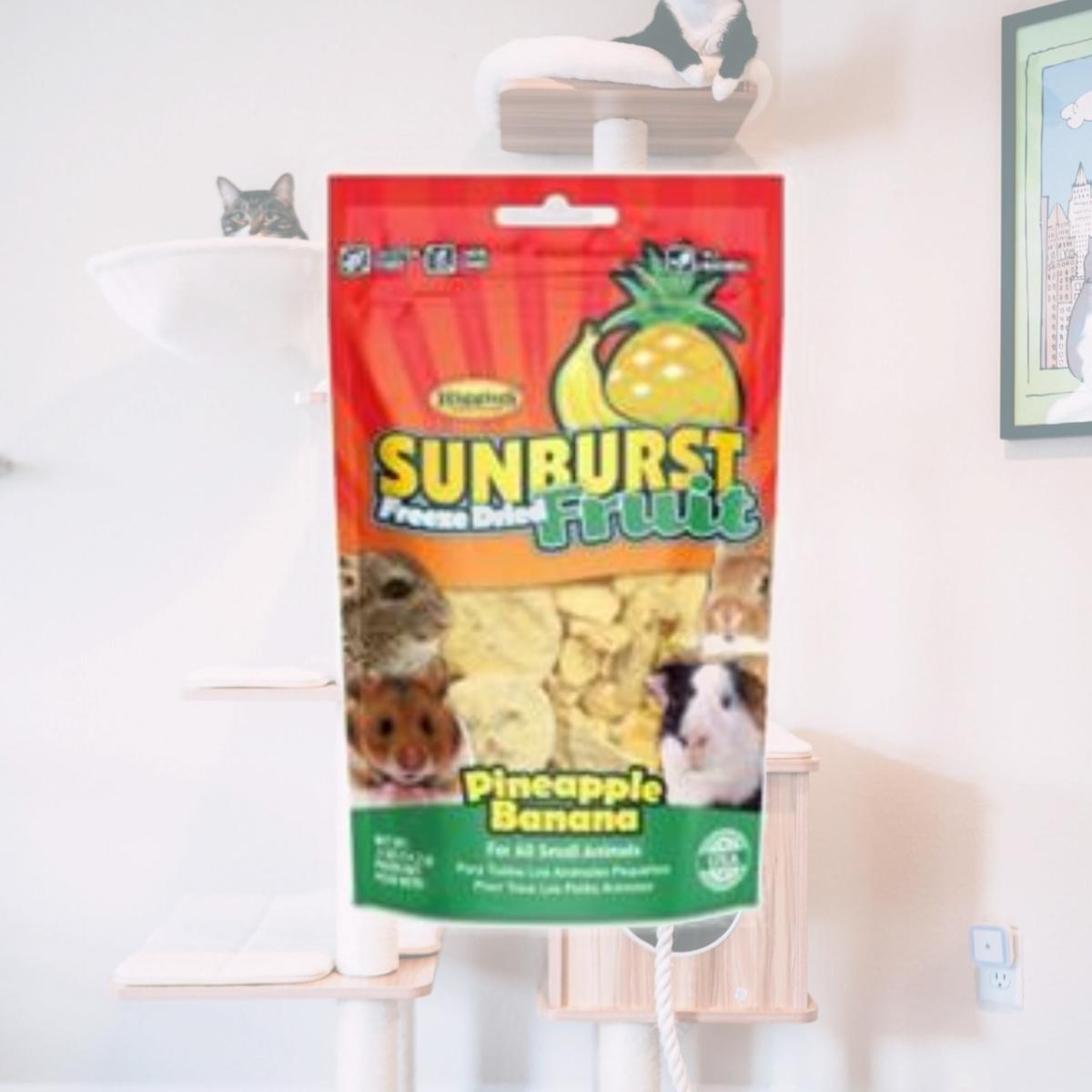 Picture of Higgins HS32321 0.5 oz Sunburst Freeze Dried Fruits for Small Animal Pet Foods - Pineapple & Banana