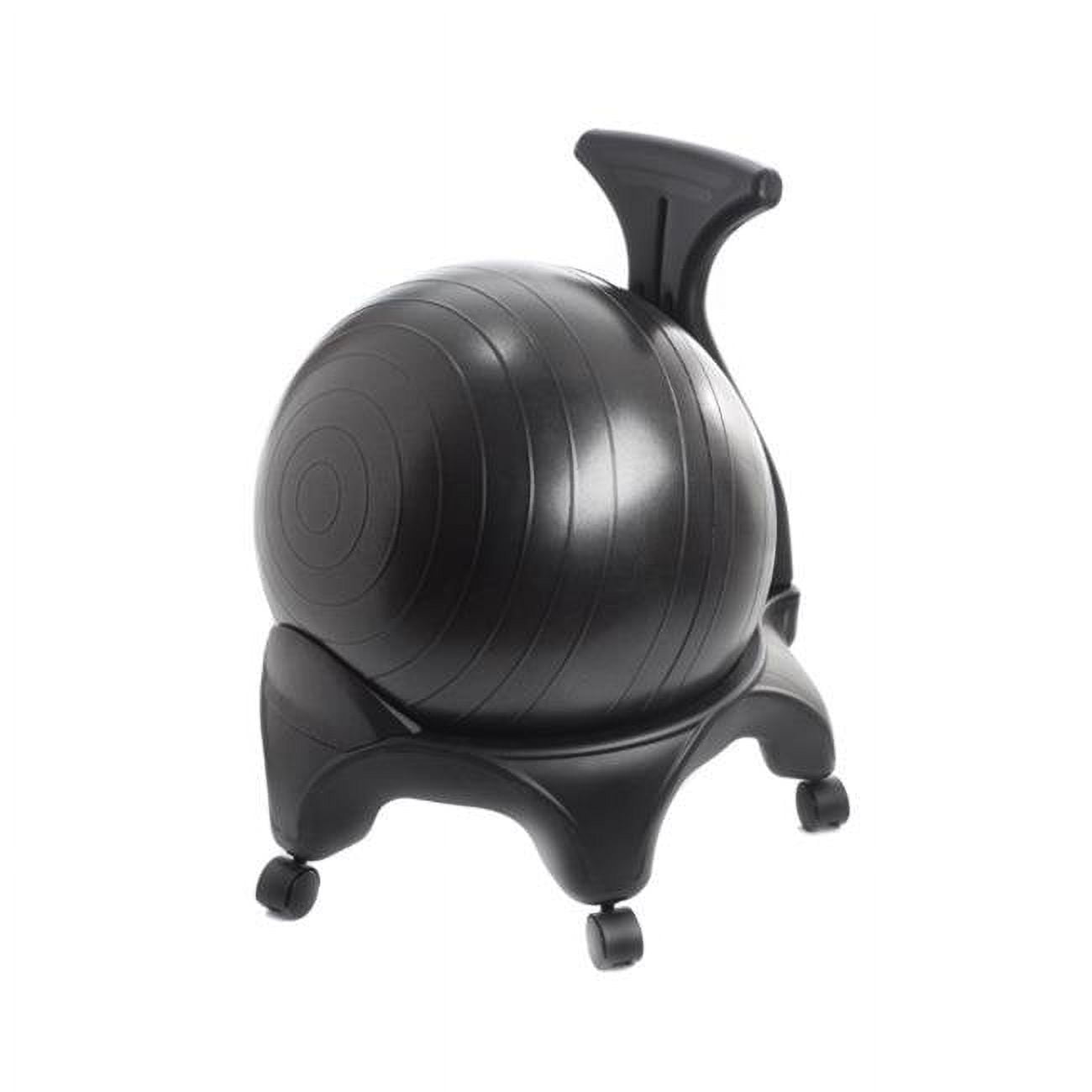 Picture of AeroMat 75050 Stability Ball Chair