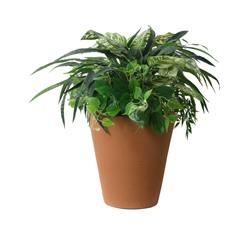 89003 21 x 20 x 20 in. Olympus Self Watering Planter, Terra Cotta