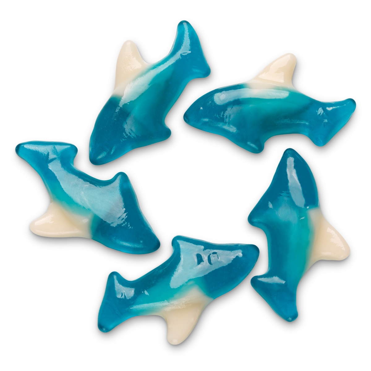 50193 5 lbs Blue Gummi Sharks, Cherry, Lime & Blue - Pack of 4