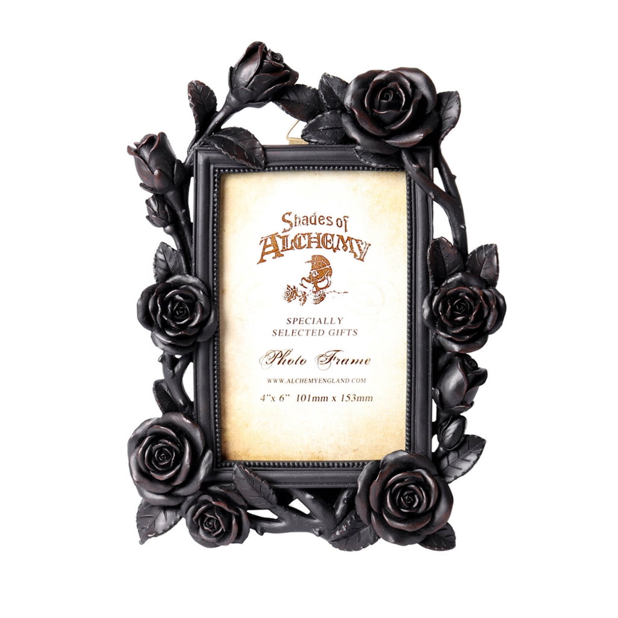 Picture of Alchemy Gothic SA17 10.04 in. Rose & Vine Photo Frame&#44; Matte Black