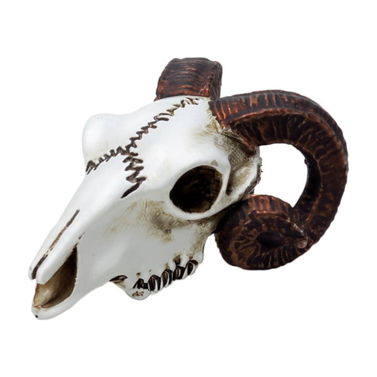Picture of Alchemy Gothic VM1 1.97 in. Rams Skull Miniature