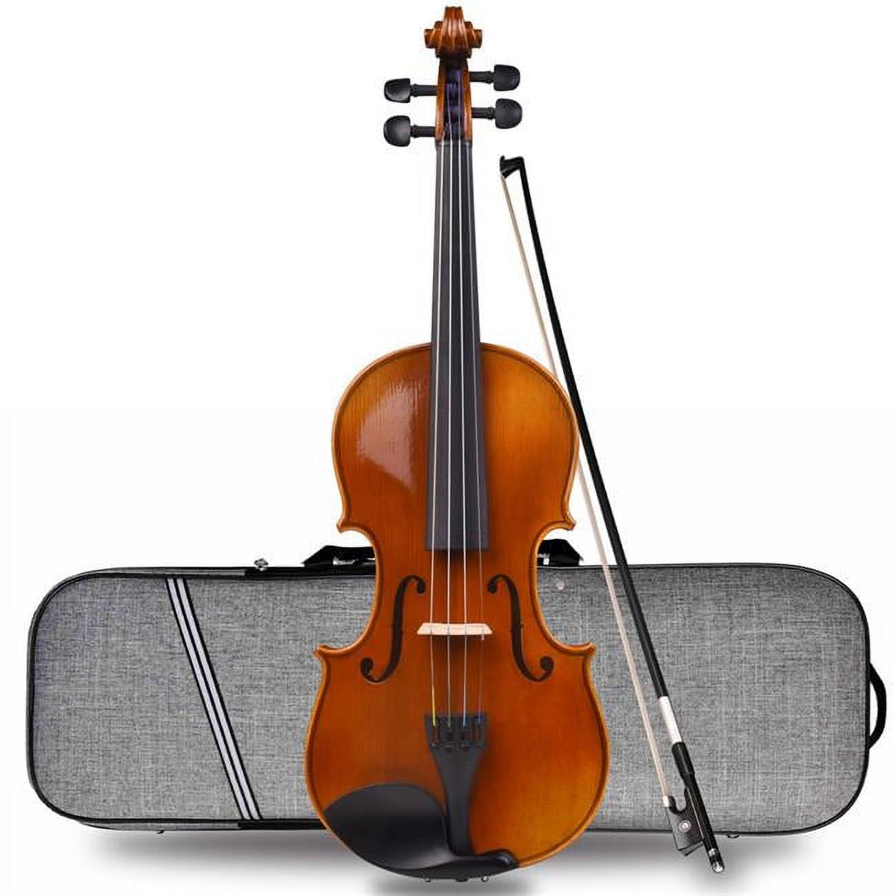 Picture of Aileen AVL310HO-44 4-4 Full Size Premium Series Violin Outfit