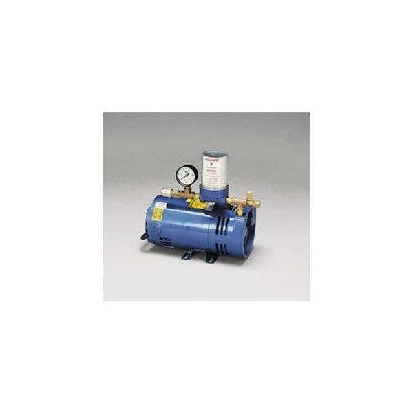 9806-E A-300 Ambient Air Pump - 220V, 50 Hz