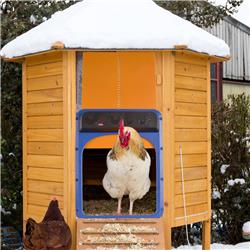 Picture of Aleko ACHCDO-UNB Automatic Chicken Coop Open & Close Door Light Sensor&#44; Blue & Yellow
