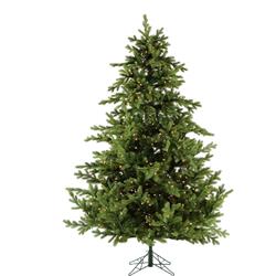 FFFX012-3GR 12 ft. Foxtail Pine with Clear Smart Lights - Green