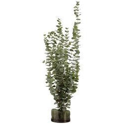 Picture of Allstate Floral WF9196-GR 56 x 18 x 22 in. Eucalyptus Plant in Glass Vase&#44; Green
