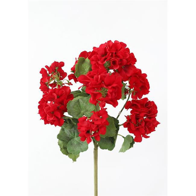 Picture of AllState Floral FBG040-RE 18 in.  Geranium Bush - Red - Pack of 12
