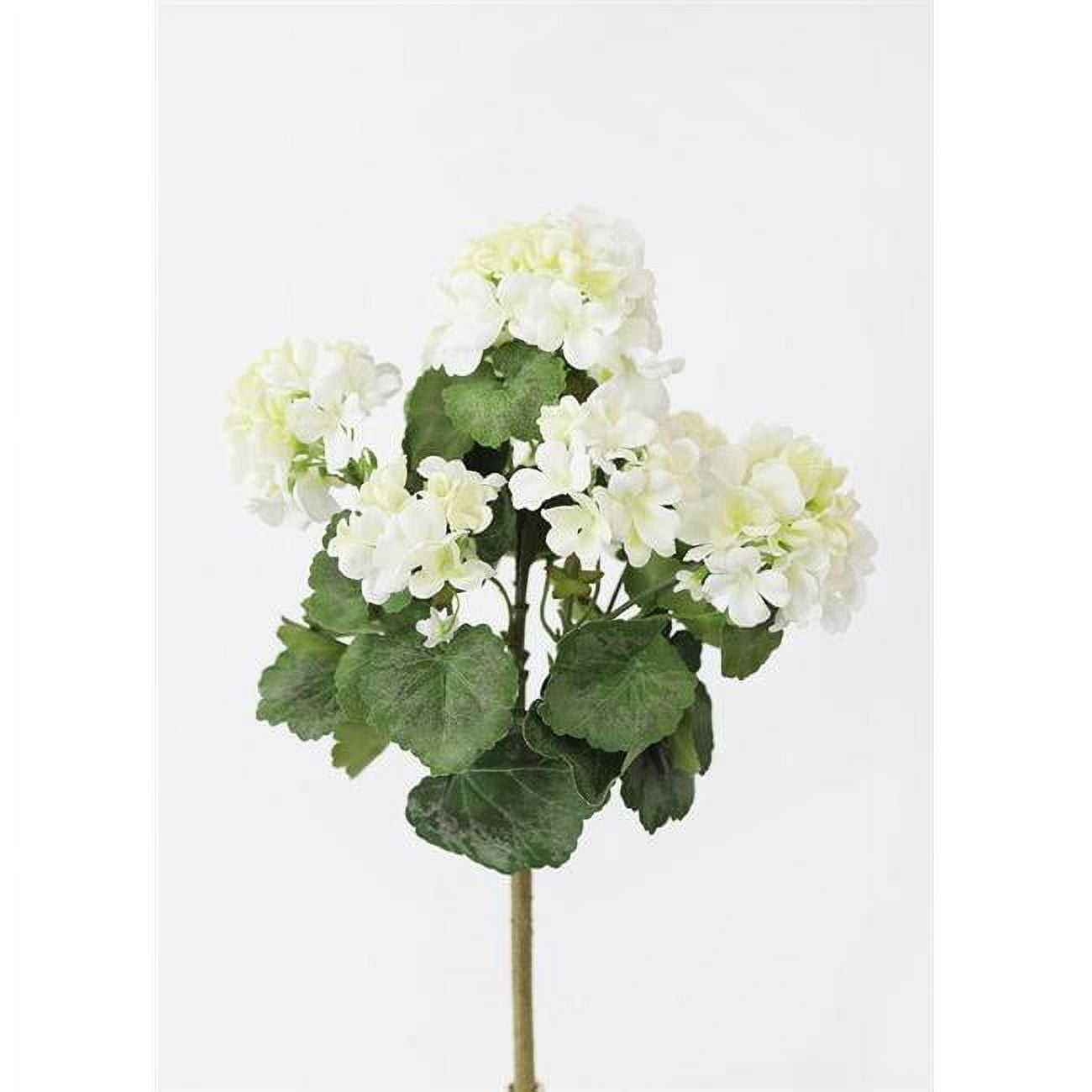 Picture of AllState Floral FBG040-WH 18 in.  Geranium Bush - White - Pack of 12