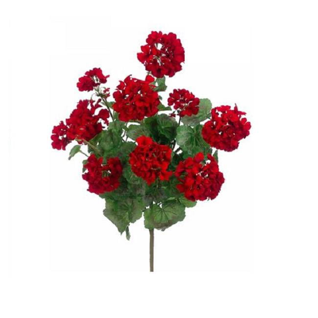 Picture of AllState Floral FBG041-RE 24 in. X5 Geranium Bush - Red - Pack of 6