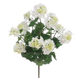 Picture of AllState Floral FBG041-WH 24 in.  X5 Geranium Bush - White - Pack of 6