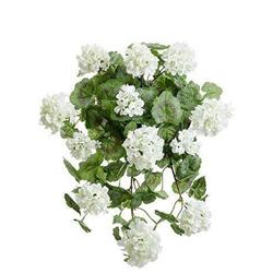Picture of AllState Floral FBG326-WH 22 in. Geranium Hanging Bush - White - Pack of 6