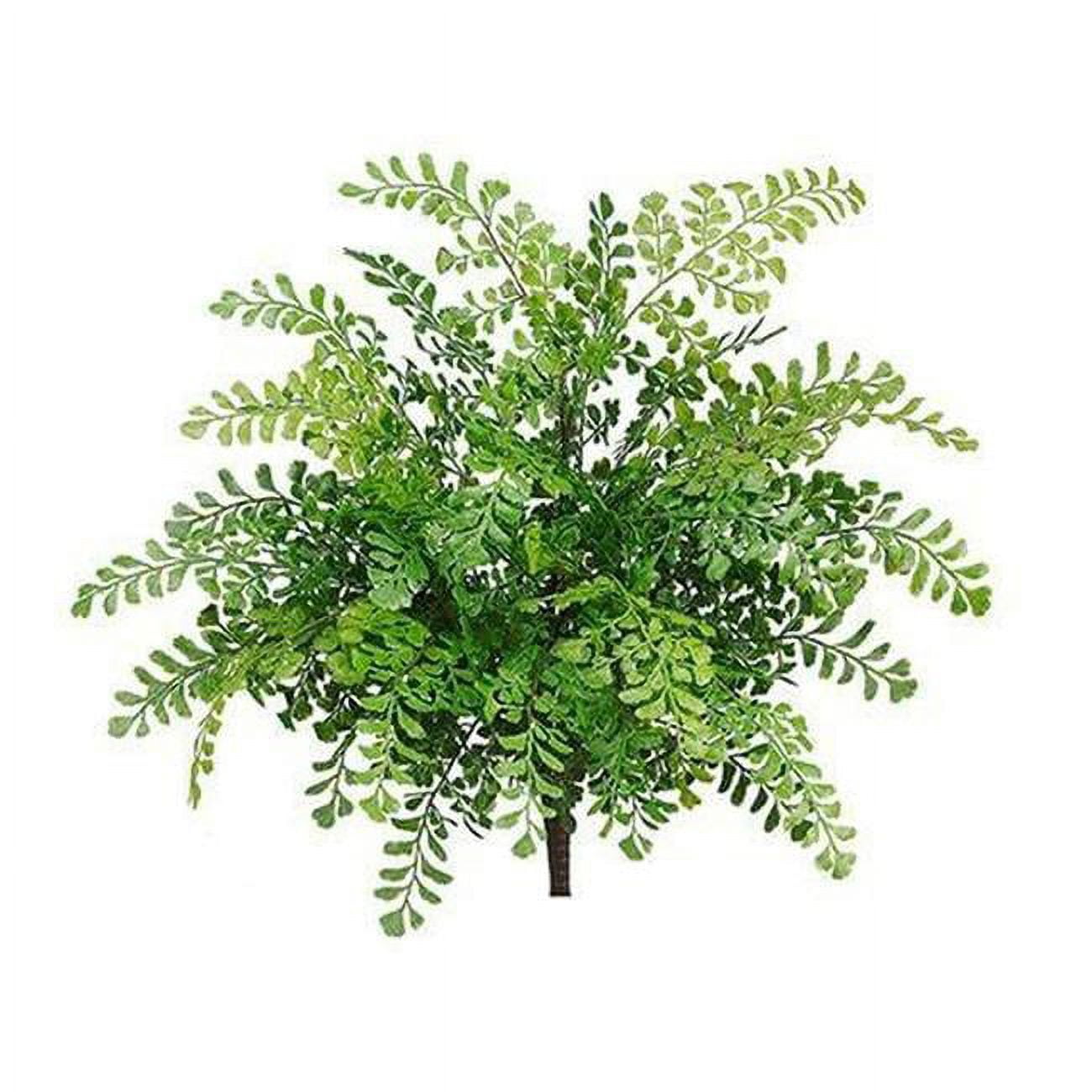 Picture of AllState Floral PBF419-GR 19 in. UV Protected Maidenhair Fern Bush - Green - Pack of 12