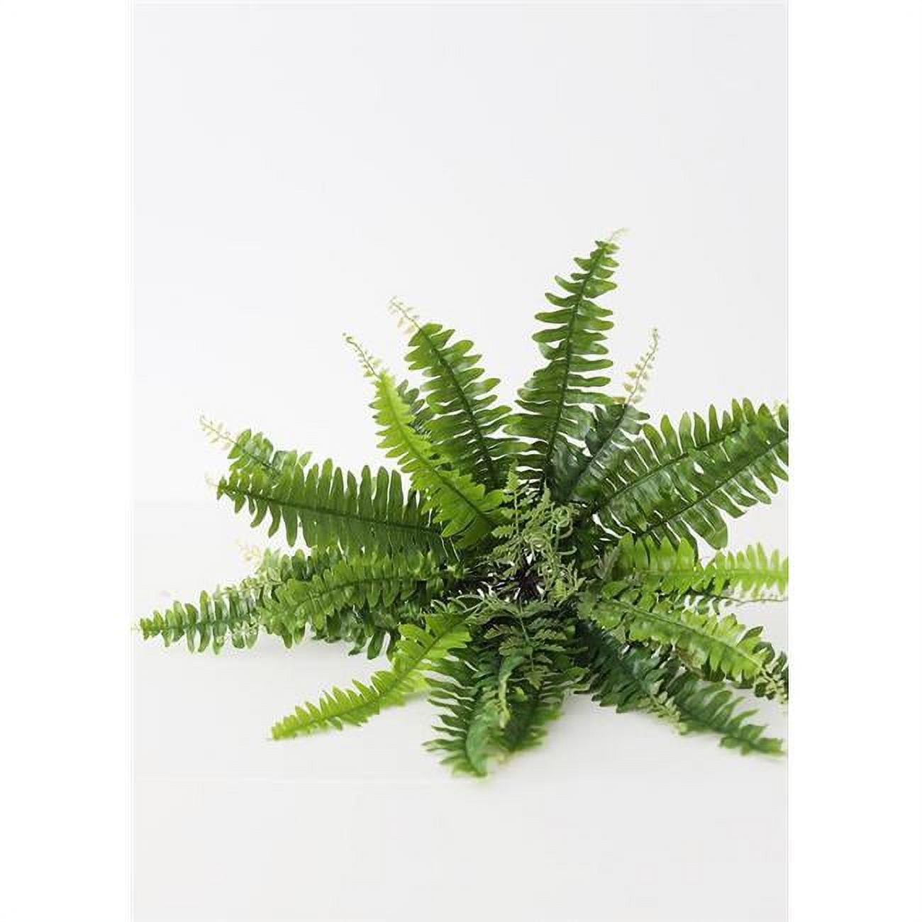 Picture of AllState Floral PBF433-GR 17 in. UV Protected Boston Fern Plant - Green&#44; 32 Leaves - Pack of 12