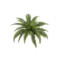 Picture of AllState Floral PBF605-GR 26 in. UV Protected Boston Fern Bush - Green  39 Leaves - Pack of 6