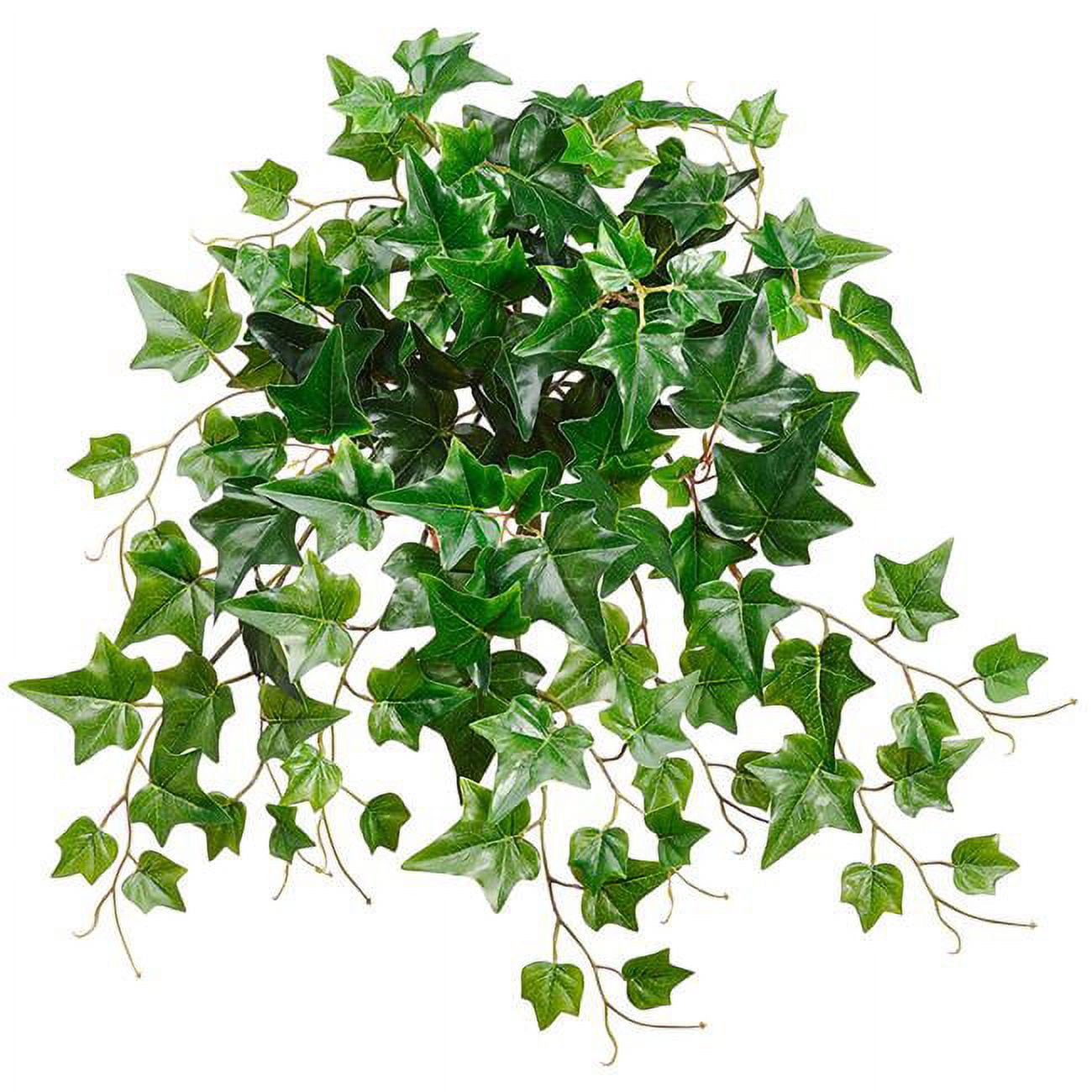 Picture of AllState Floral PBI120-GR 20 in. UV Protected Ivy Bush - Green - Pack of 12