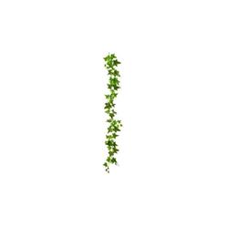 Picture of AllState Floral PGI806-GR 5 ft. UV Protected Artificial Ivy Leaf Garland - Green - Pack of 6