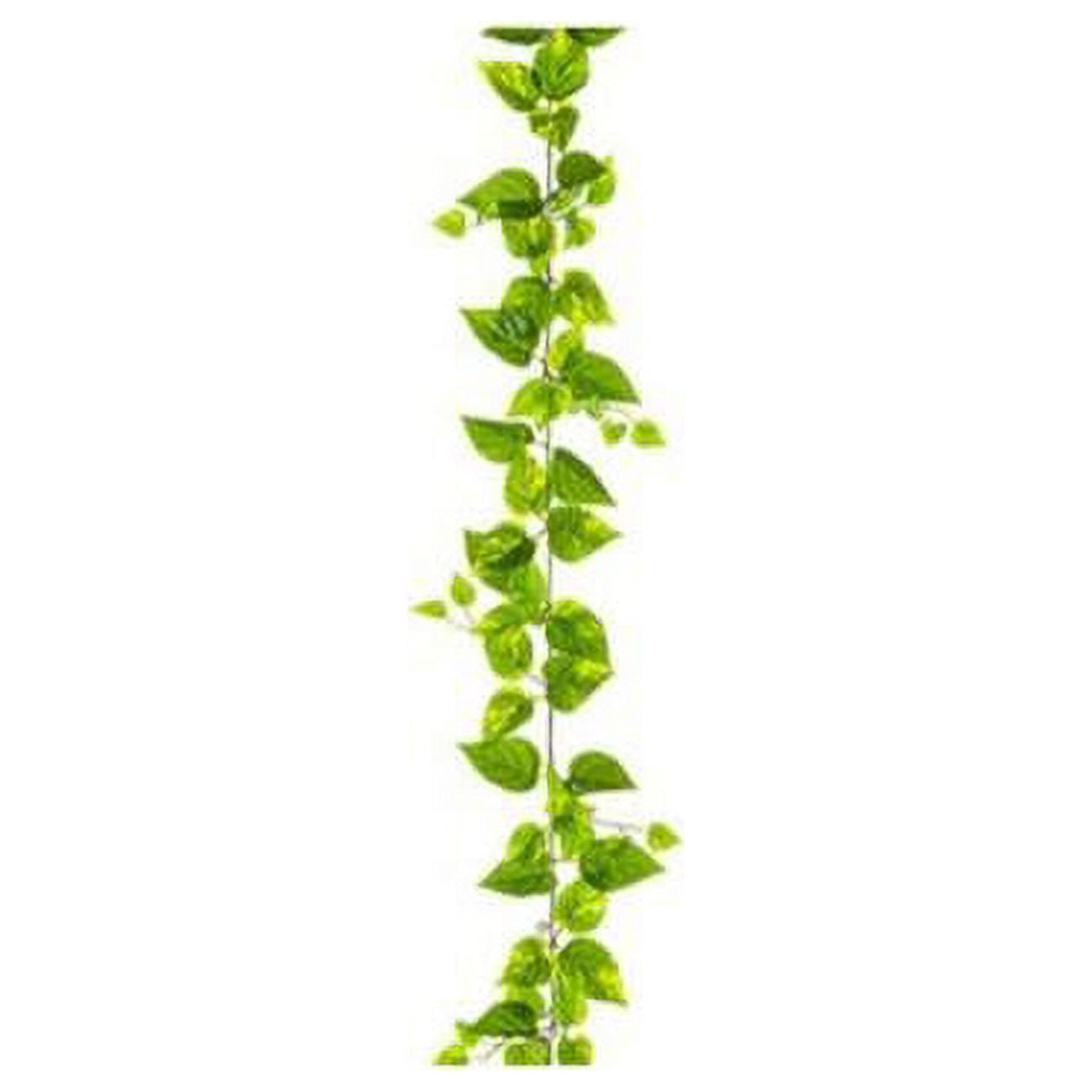 AllState Floral PGP808-GR-WH 5 ft. UV Protected PVC Ivy Leaf Garland - Green & White - Pack of 6