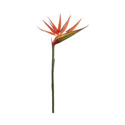 Picture of Allstate Floral GTB553-OR 36 in. Silk Bird of Paradise Flower Spray&#44; Orange - Pack of 24