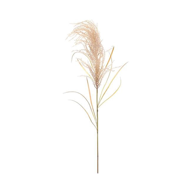 Picture of Allstate Floral & Craft FSG221-BE 56 in. Blooming Artificial Pampas Grass Stem - Beige