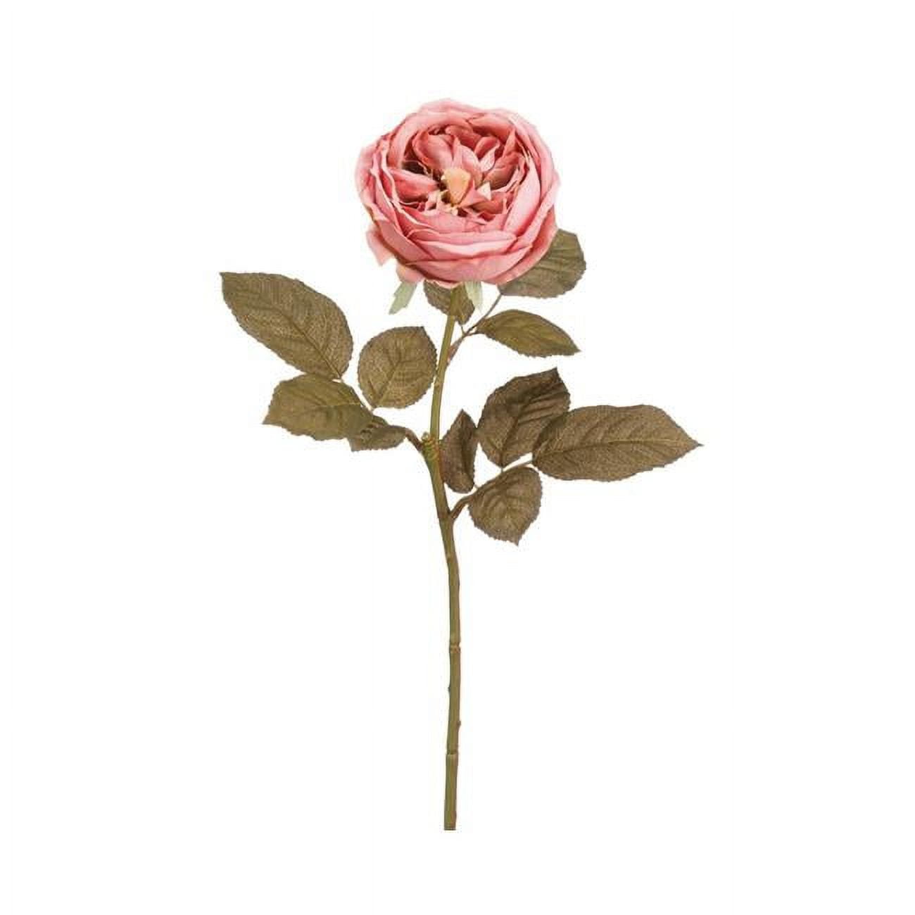 Picture of Allstate Floral & Craft FSR258-MV 25 in. Silk English Rose Flower Spray - Mauve