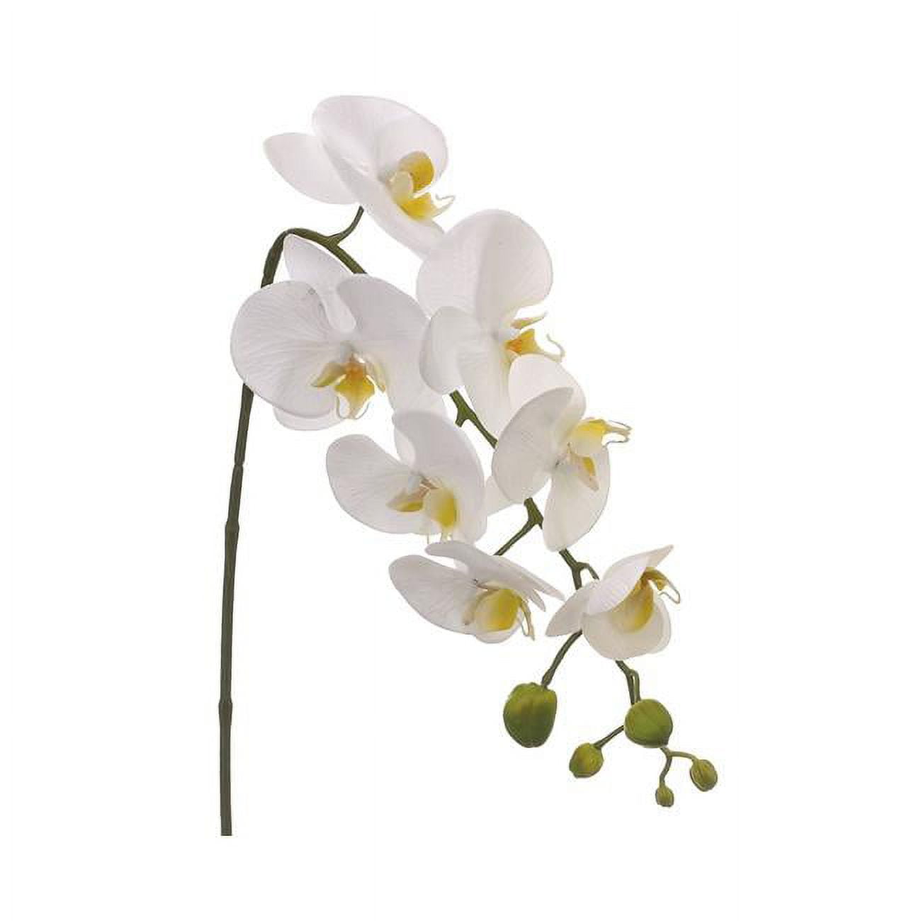 Picture of Allstate Floral & Craft FSO723-WH 28.5 in. Phalaenopsis Orchid Flower Spray - White