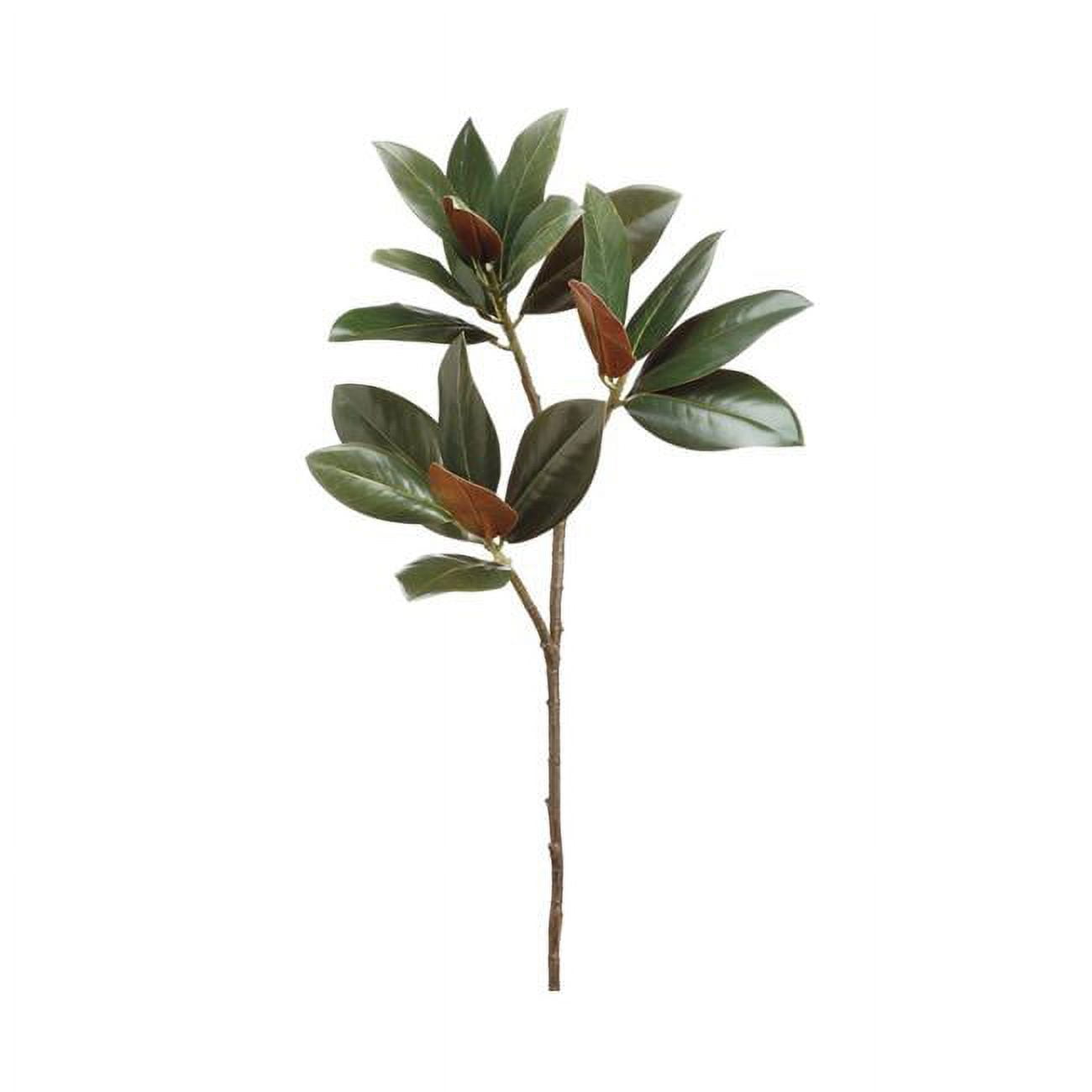 Picture of Allstate Floral & Craft PSM245-GR-DK 35 in. Silk Magnolia Leaf Stem - Dark Green