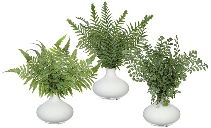 Picture of Allstate Floral & Craft LQF367-GR 11.5 in. Fern in Ceramic White Vase&#44; Green - Set of 3 - Case of 2
