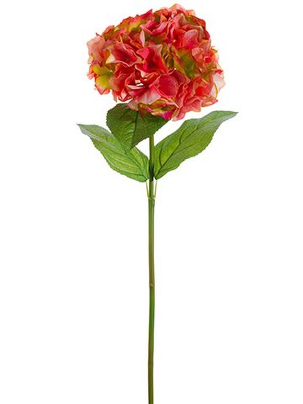 Picture of Allstate Floral & Craft LFO022-WH 31 in. Phalaenopsis Orchid Plant with Soil & Moss - Pack of 2