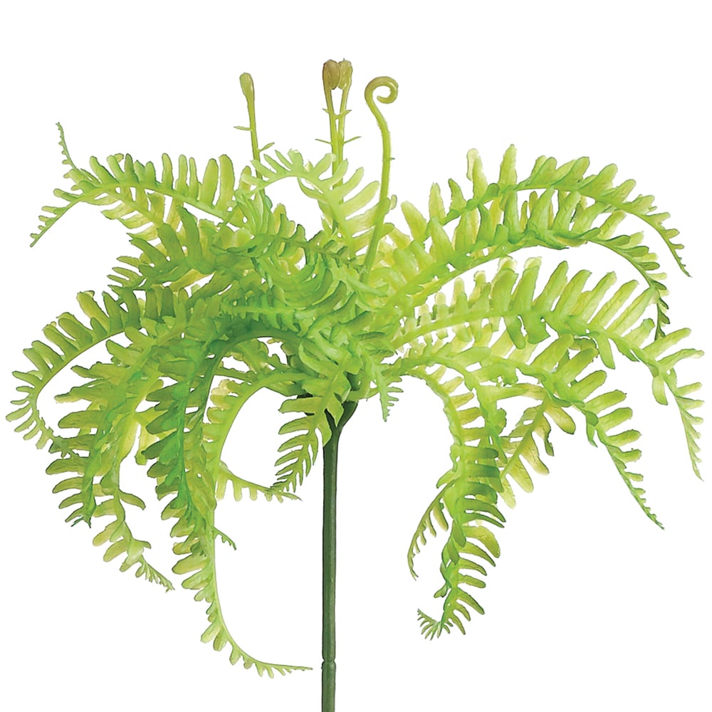 Picture of Allstate Floral & Craft PKT575-GR 8 in. Soft Pe Mini Fern Stem Pick&#44; Green - Pack of 12