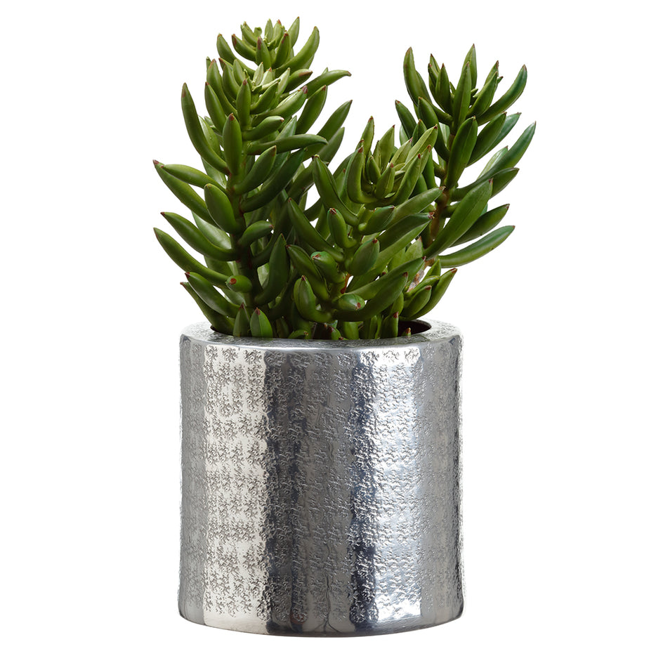 Picture of Allstate Floral & Craft WF9304-GR 10.5 x 6.3 x 6.8 in. Artificial Senecio Succulent Plant with Aluminum Pot&#44; Green
