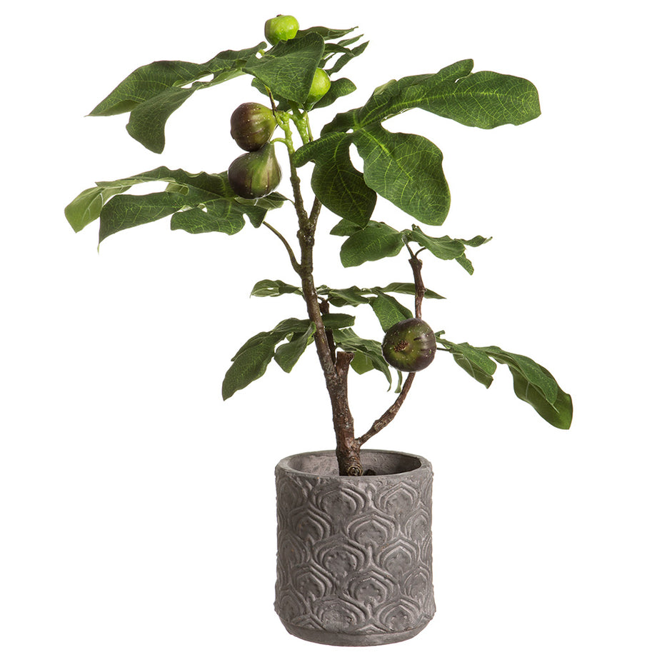 Picture of Allstate Floral & Craft WP9914-GR 25 x 18 x 15 in. Artificial Fruiting Fig Plant with Terra Cotta Planter&#44; Green