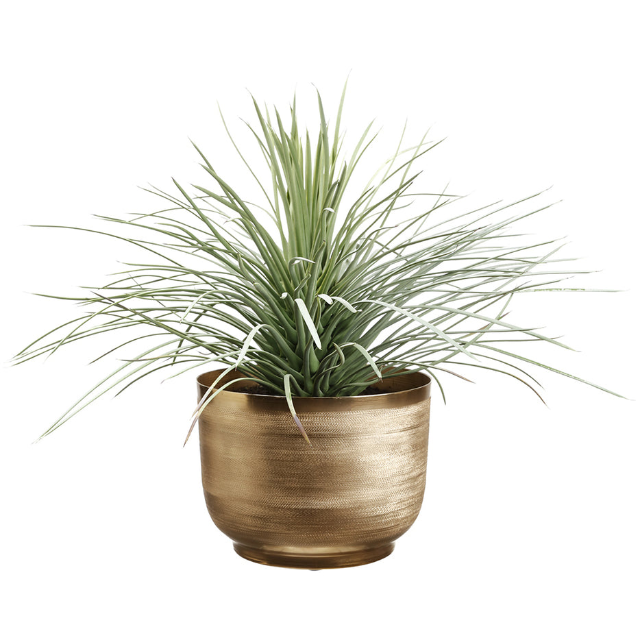 Picture of Allstate Floral & Craft WP0691-GR-FK 8 x 11 in. Artificial Whipple Yucca Plant with Textured Planter&#44; Flocked Green