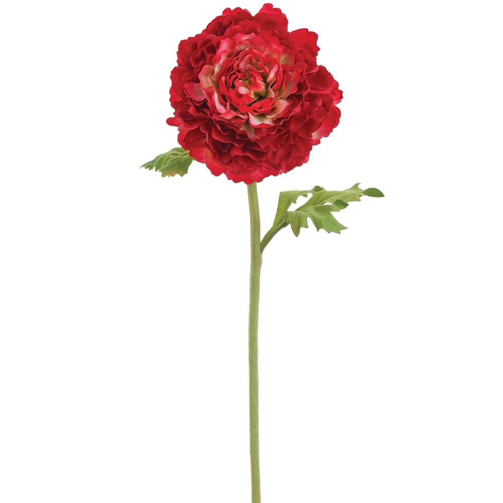 Allstate Floral & Craft FSR619-BT 15 in. Real Touch Ranunculus Spray, Beauty - Pack of 12