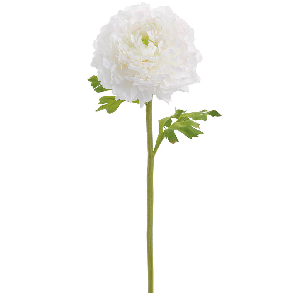 Allstate Floral & Craft FSR619-WH 15 in. Real Touch Ranunculus Spray, White - Pack of 12