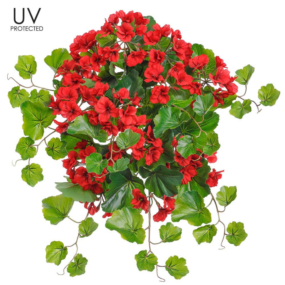 FBG112-RE 24 in. UV Protected Geranium Flower Bush - Red - Pack of 6