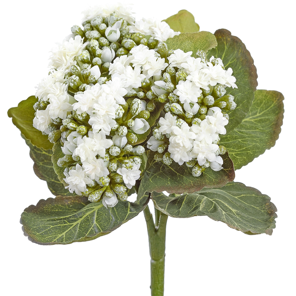 Allstate Floral FBK361-WH 8' Kalanchoe Bush