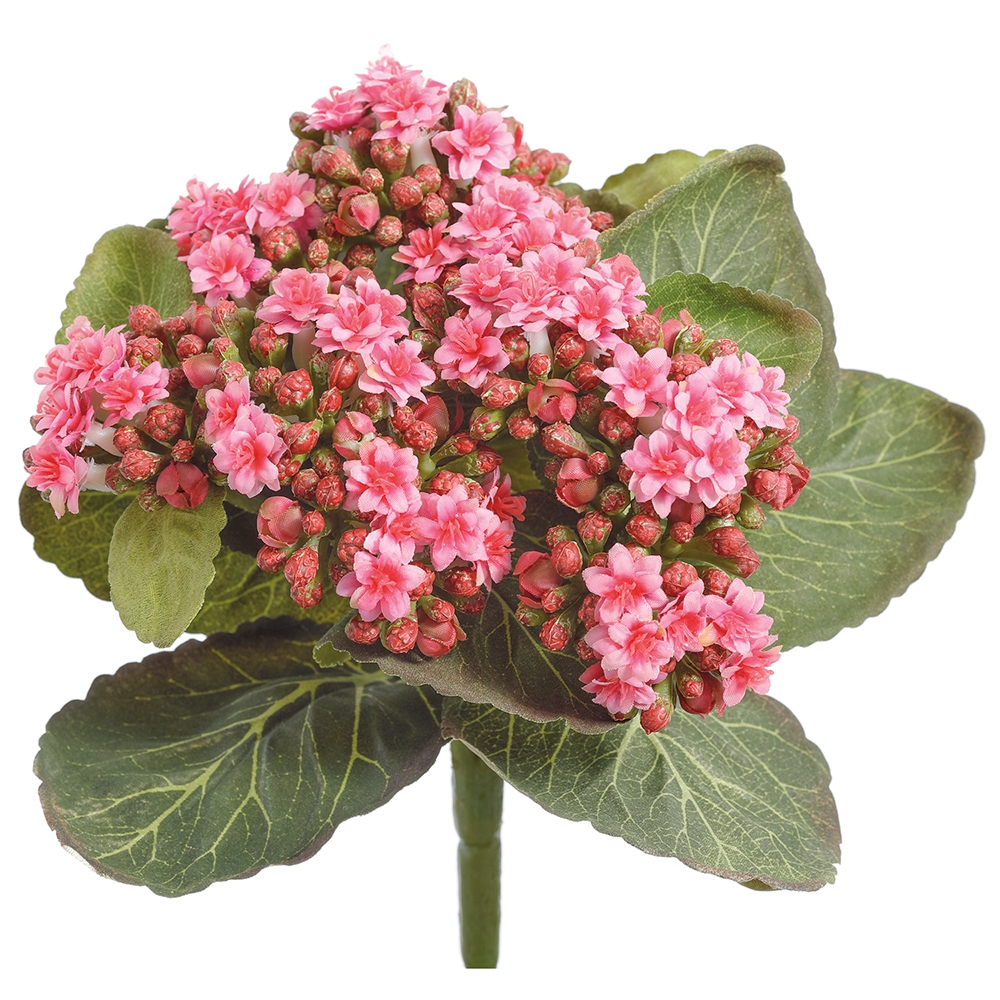 Allstate Floral FBK361-PK 8' Kalanchoe Bush