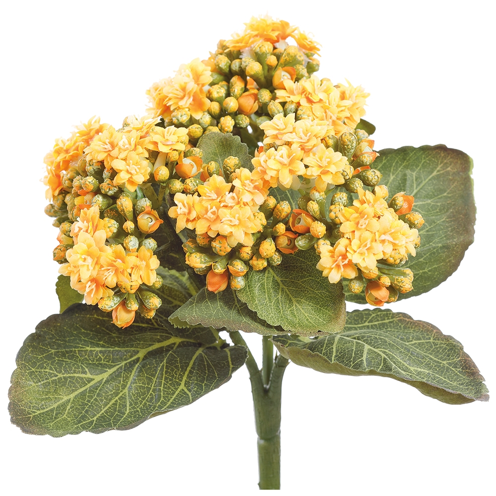 Allstate Floral FBK361-YE 8' Kalanchoe Bush