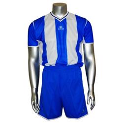 Picture of Acacia Sports 75-303 Soccer Sets for Youth&#44; Royal & White - Large - 2 Piece