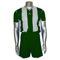 Picture of Acacia Sports 75-501 Soccer Sets for Adult&#44; Forest & White - Medium - 2 Piece