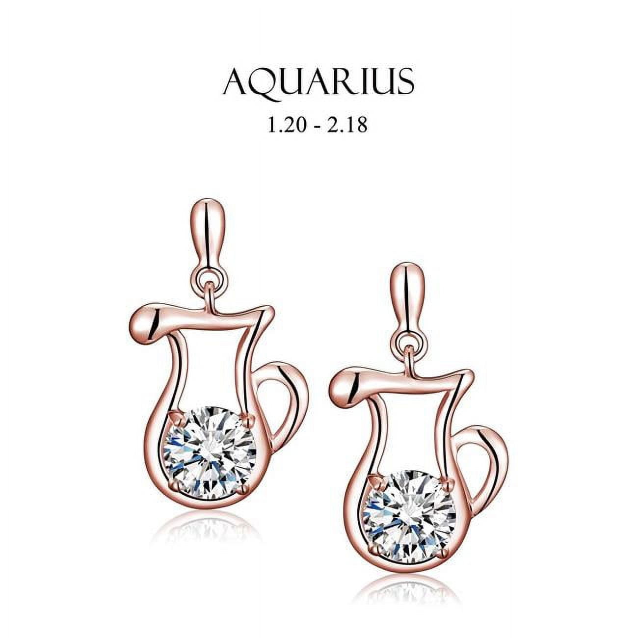 Picture of Amabel Designs E-I2CZAQR-RG Rose Gold Cubic Zirconia Aquarius Stud Earrings