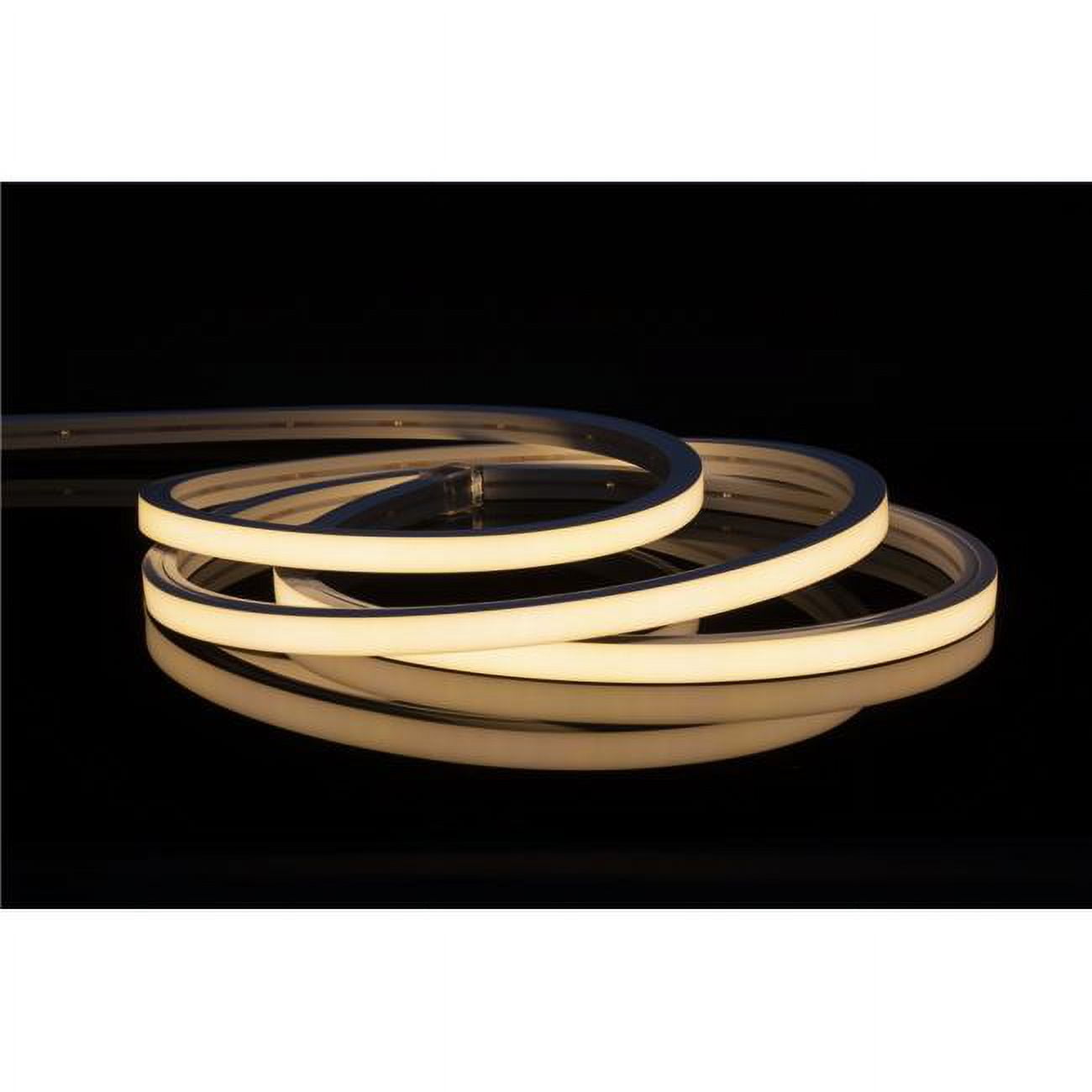 Picture of American Lighting NFPROV-40-98 98 ft. 4000K NeonFlex V Reel Strip Light - Top Bend - 24V&#44; White
