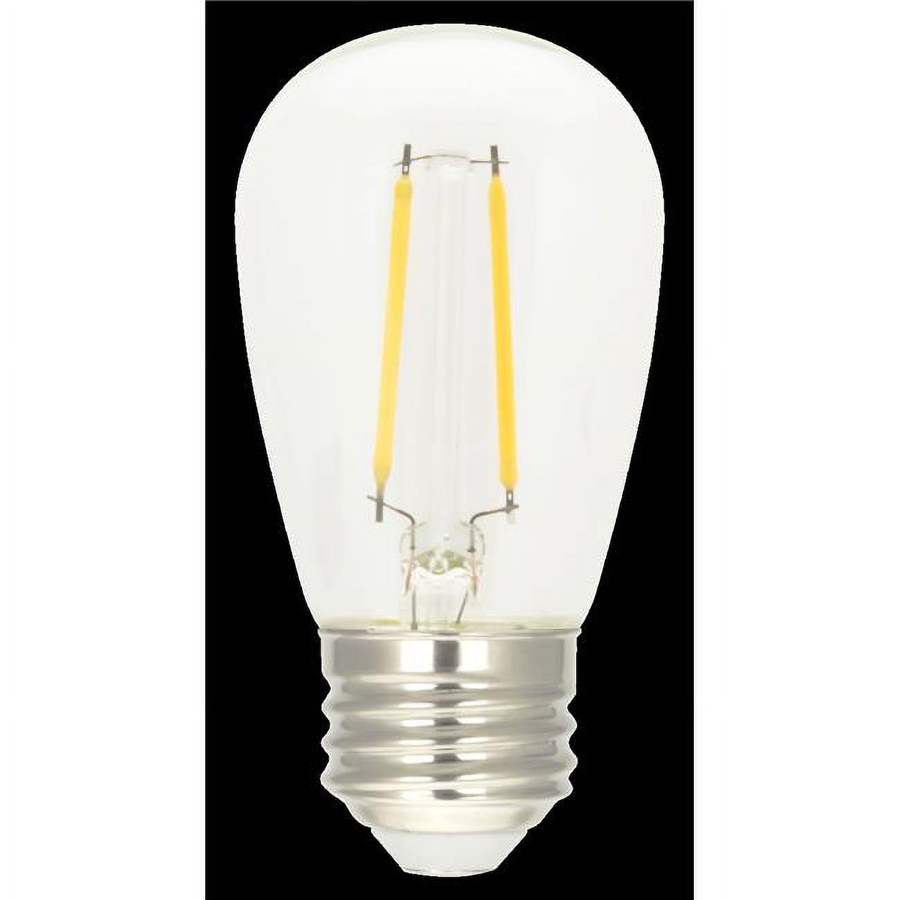 Picture of American Lighting S14-LEDF-PET-12AC-30K 1.9W LED S14 Filament Lamp Bulb&#44; Clear