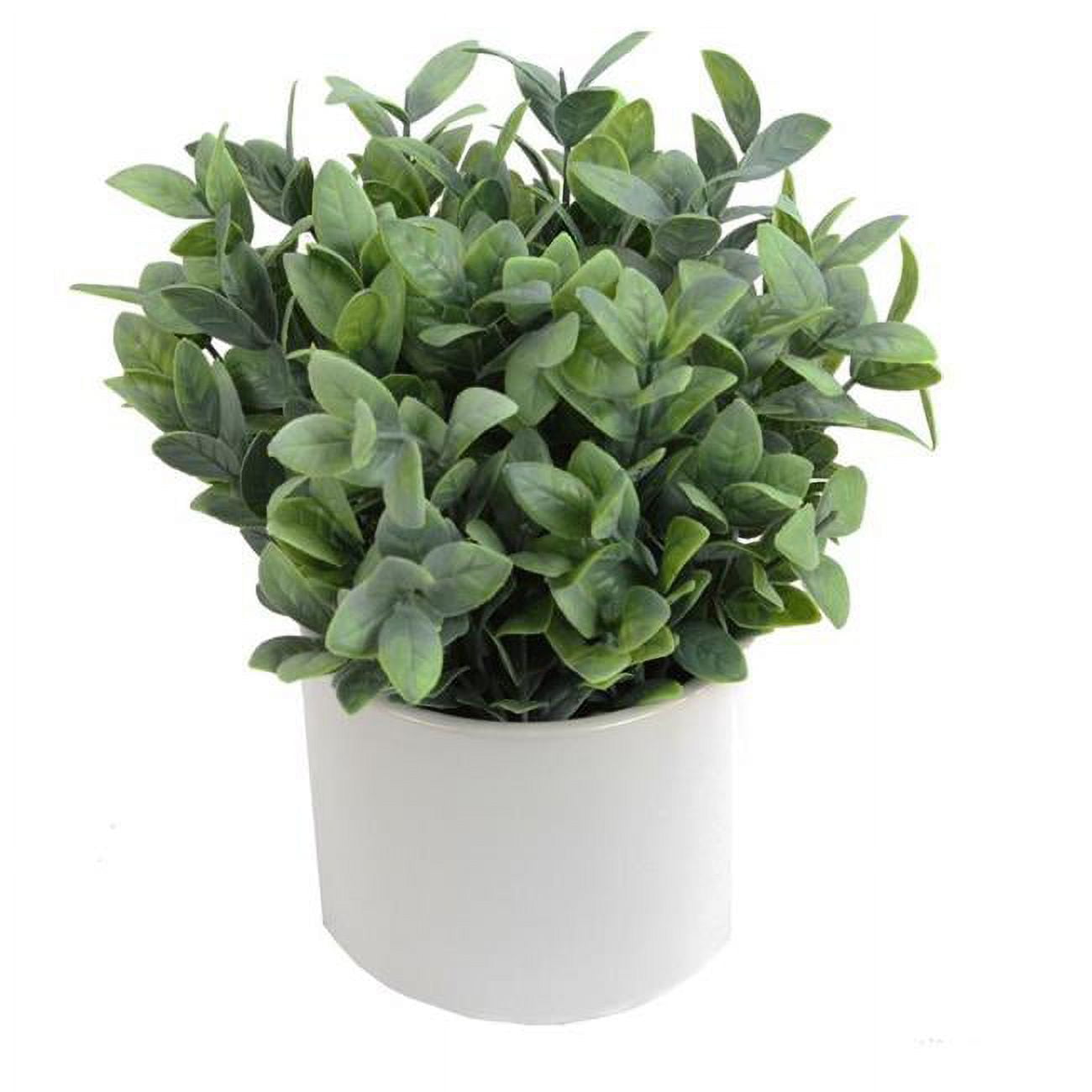 Picture of Admired by Nature ABN5P022-NTRL-R Artificial Frosted Ruscus Plant with Ceramic Pot - Green