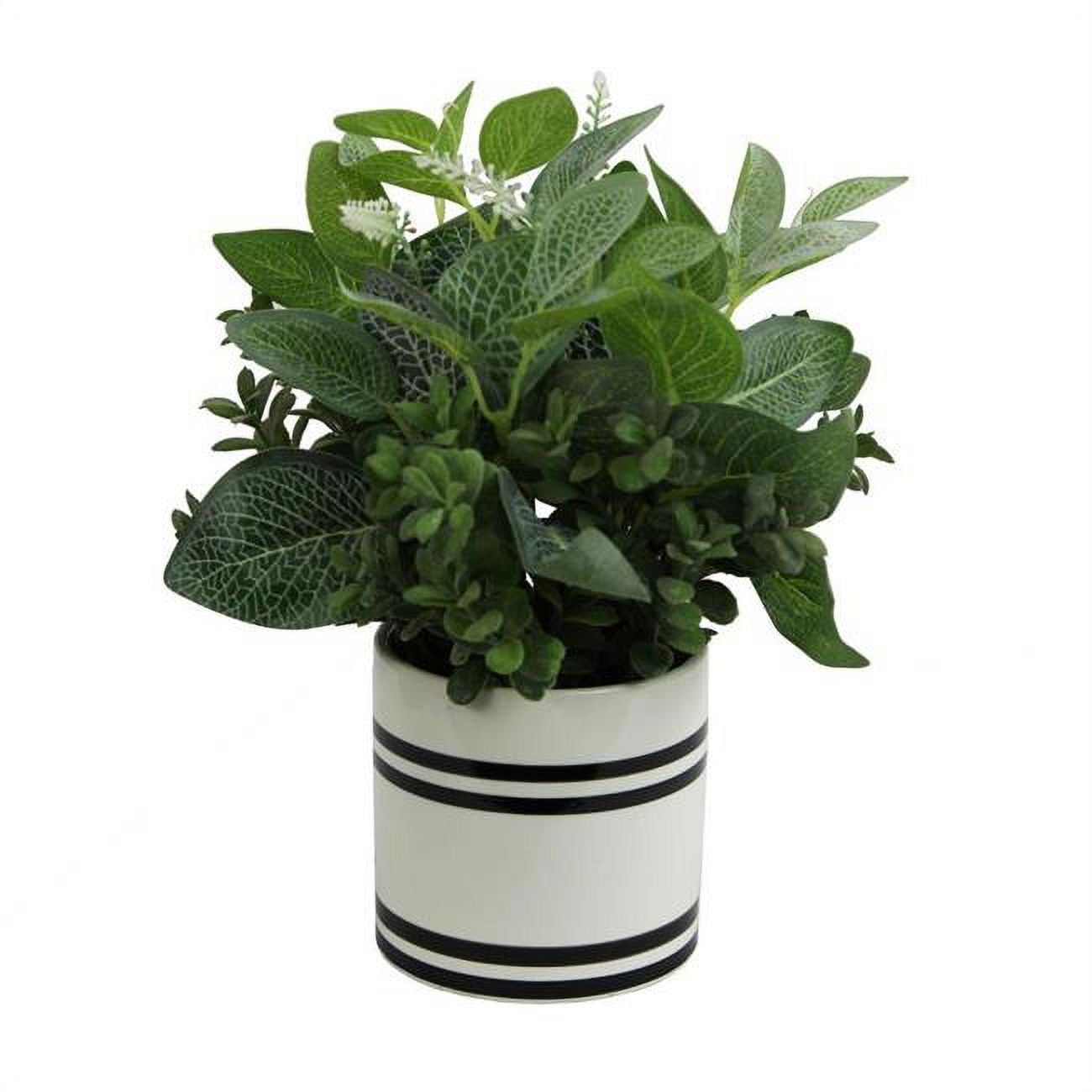 Picture of Admired by Nature ABN5P024-NTRL Artificial Mixed Garden Foliage Plant with Striped Ceramic Pot - Green