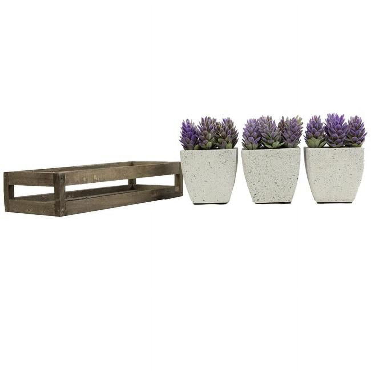 Admired by Nature ABN5P021-PRPL Summer Succulents in Wooden Tray Purple - 3 Piece