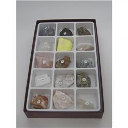2351 Luster Collection - 15 Specimens