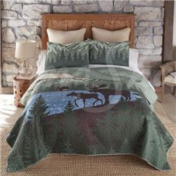 Picture of American Heritage Textiles 61104 Moonlit Bear Twin Size Cotton Quilt, Multi Color